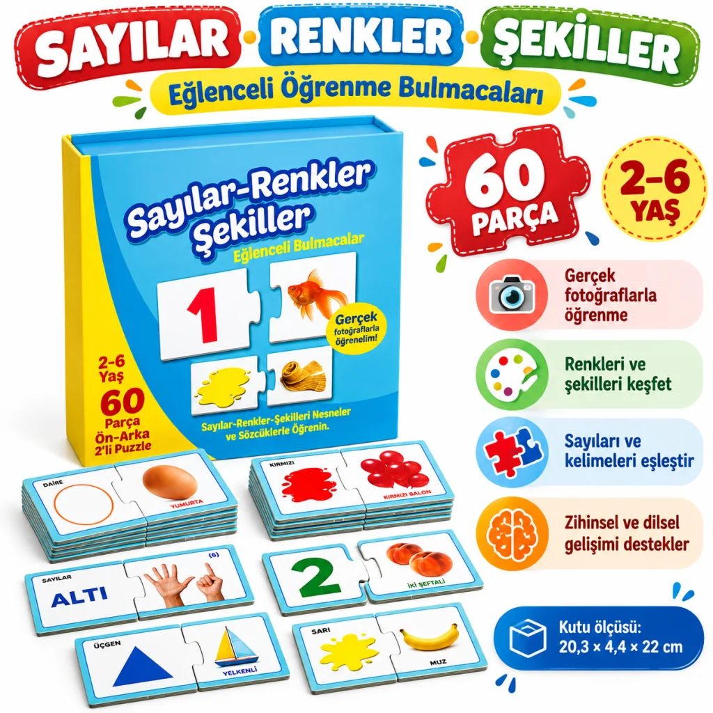 1444 Eğlenceli Bul Sayılar Renkler Şekiller