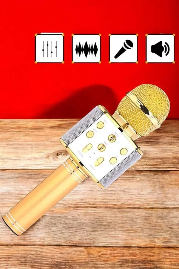 Şarjlı ve Uzun Pil Ömürlü Karaoke krofon USB Bellek Destekli, Profesyonel Ses görsel 4
